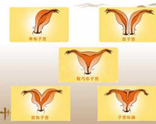 国内代怀孕哪里靠谱,去上海做婴儿试管大概多少钱?试管婴儿具体流程有哪些?